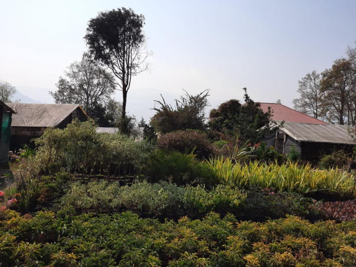 Aaravi Garden Homestay Kalimpong Exteriör bild